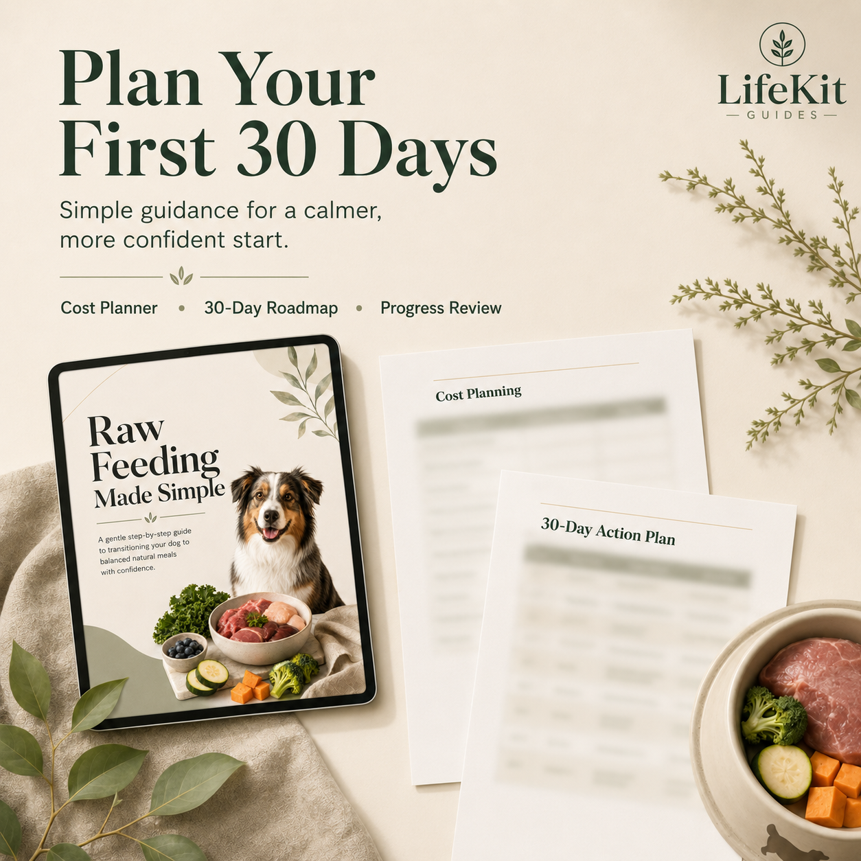 Raw Feeding Made Simple